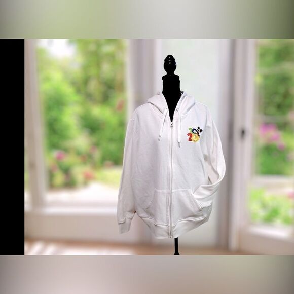 🔥🔥 DisneyParks Disneyland 2020 Hoodie Sweatshirt Jumper Zip-up jacket Size 1X - Picture 11 of 13